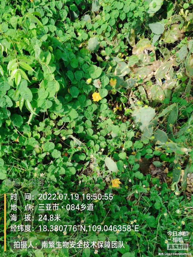 请输入内容…