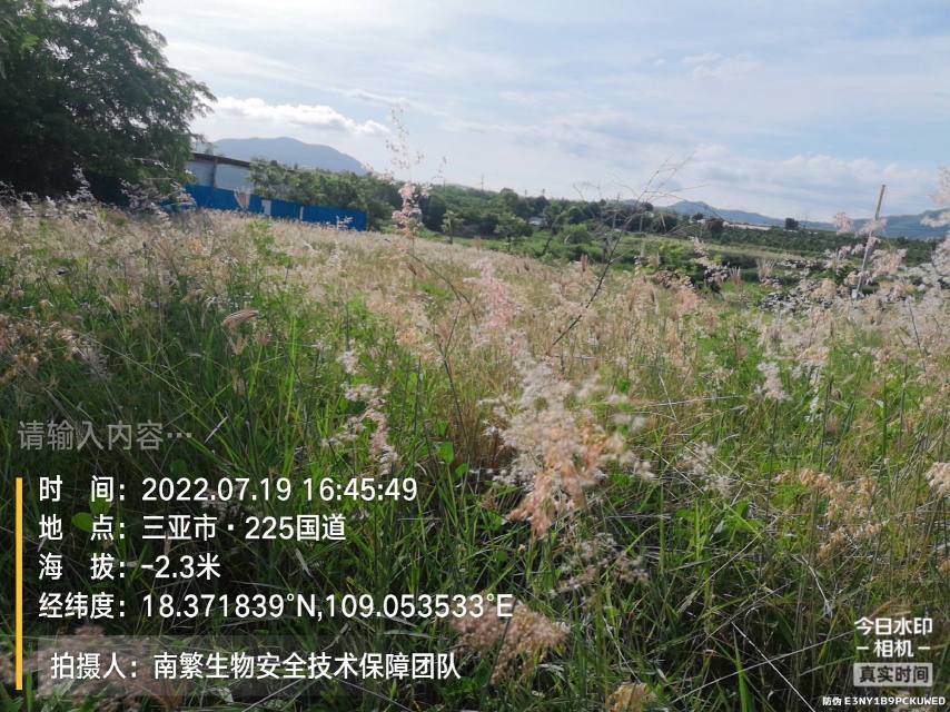 请输入内容…
