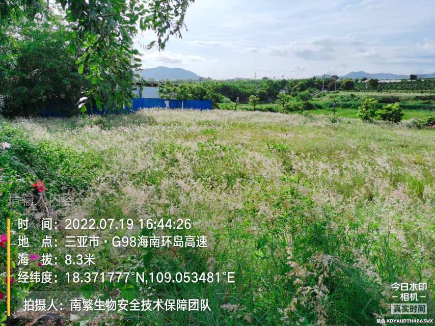 请输入内容…