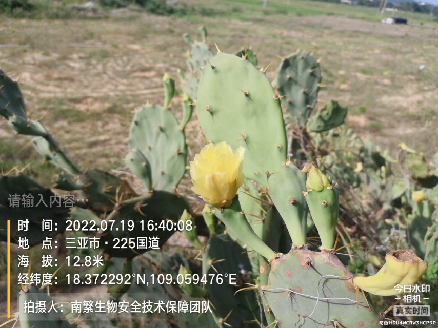 请输入内容…