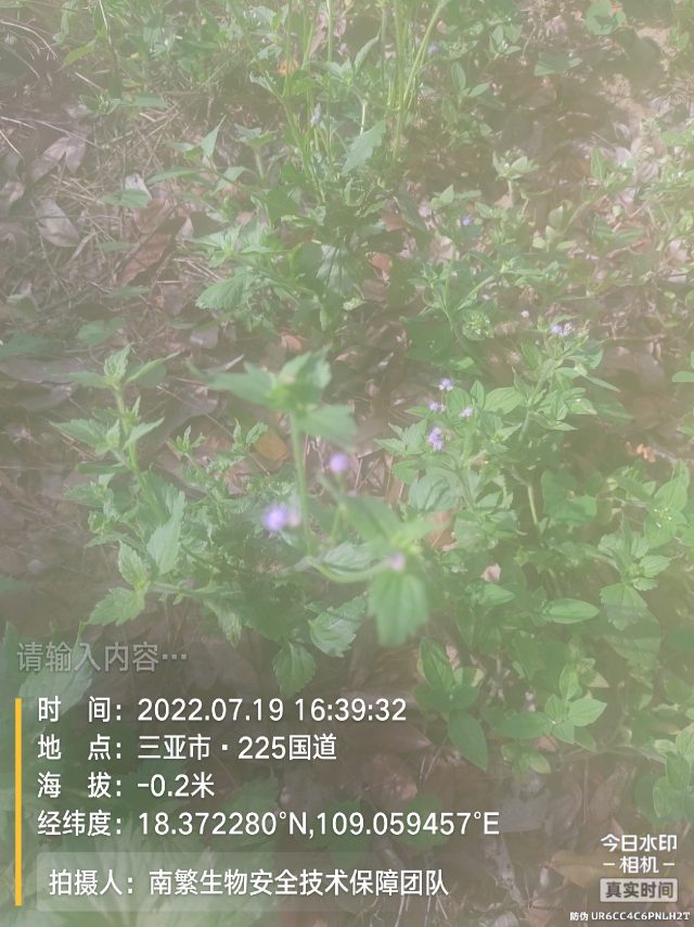 请输入内容…