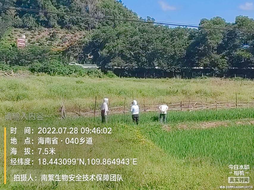 请输入内容…