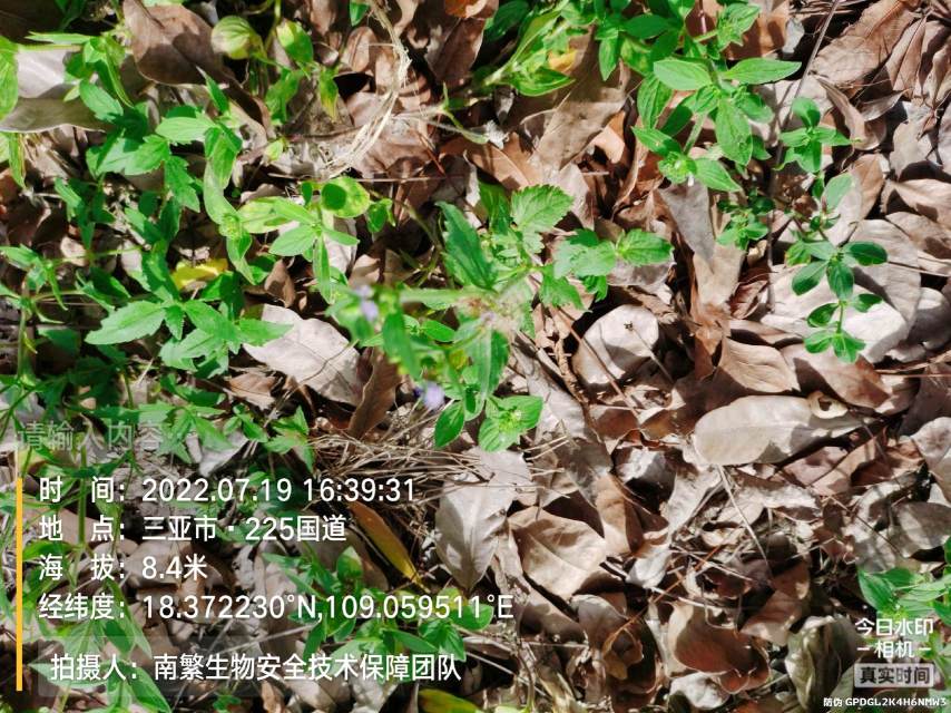 请输入内容…
