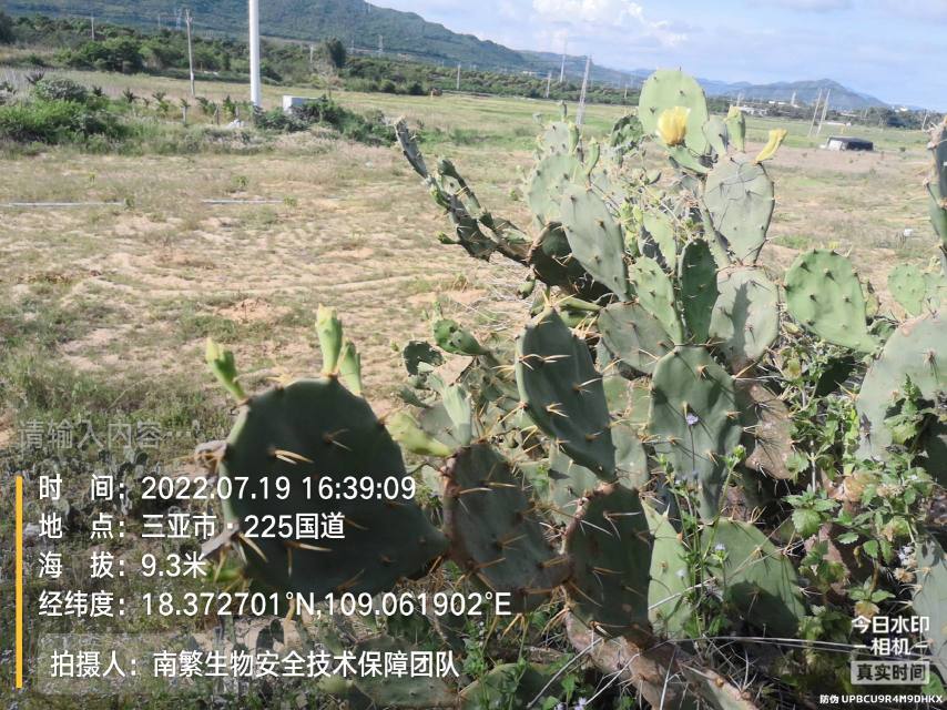 请输入内容…