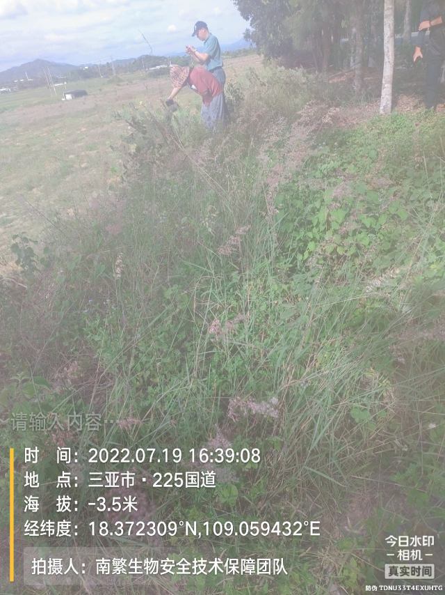 请输入内容…