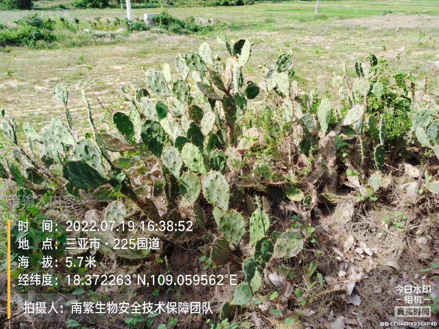 请输入内容…