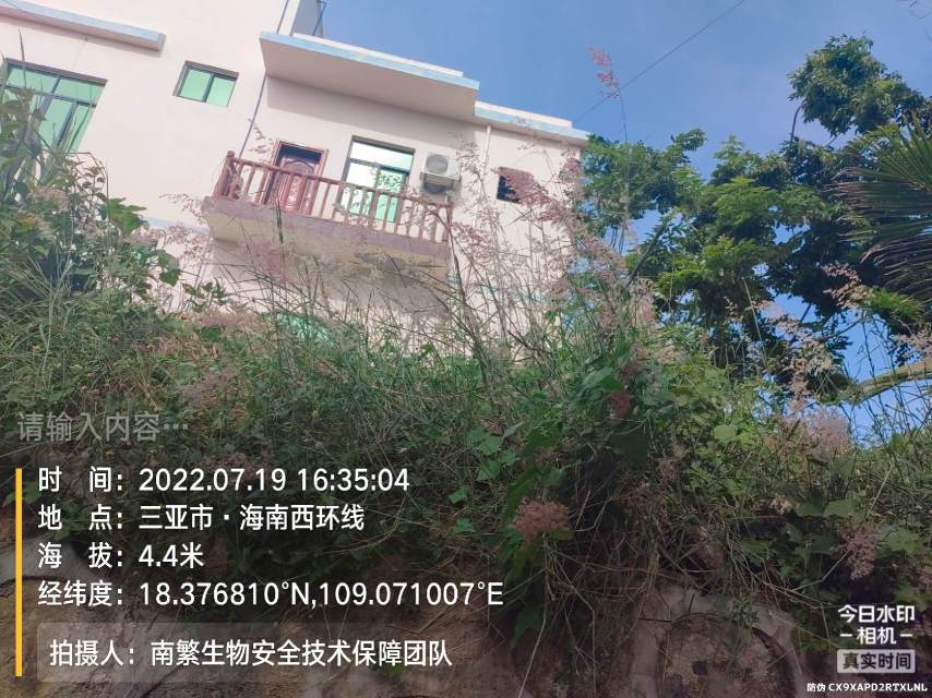 请输入内容…