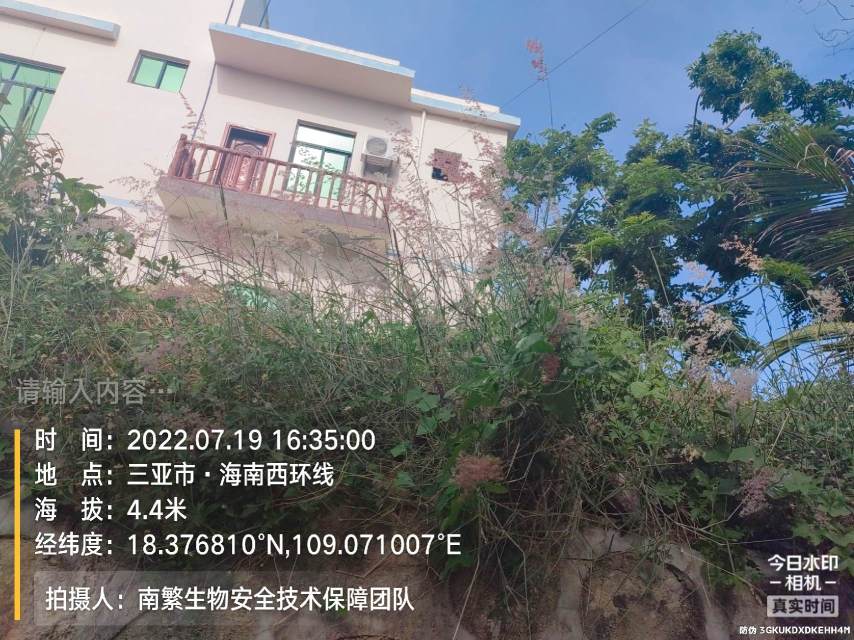 请输入内容…