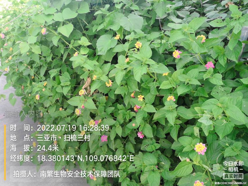 请输入内容…