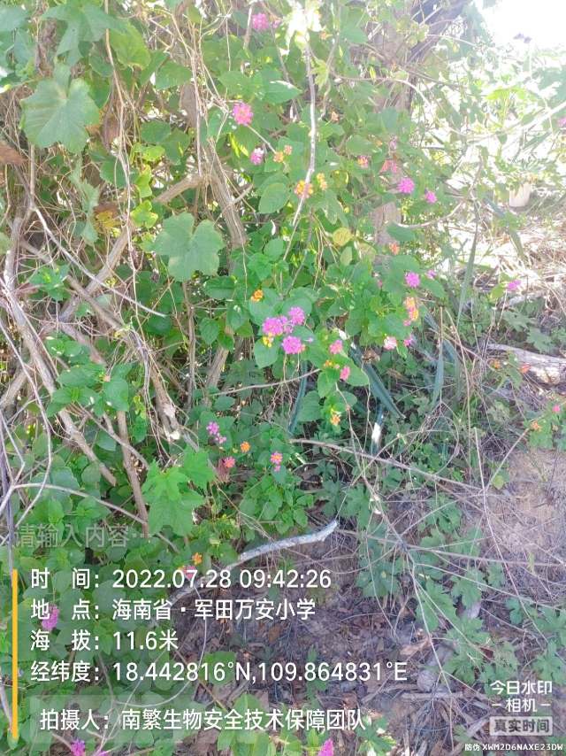 请输入内容…