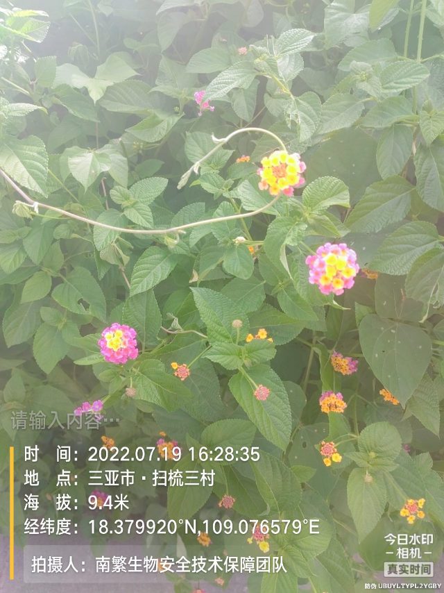 请输入内容…