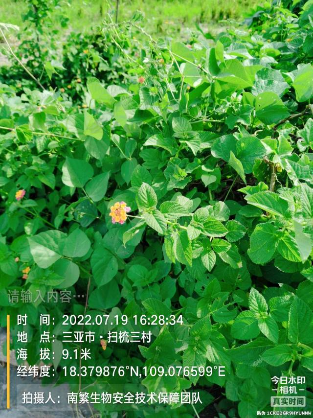 请输入内容…