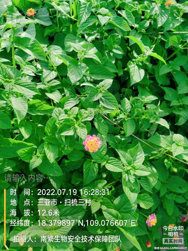请输入内容…