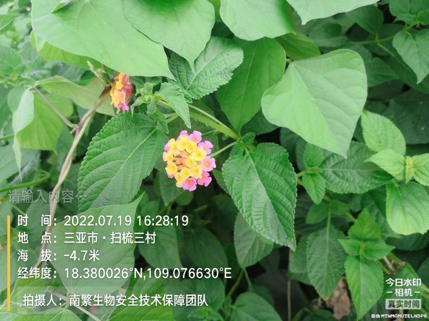 请输入内容…