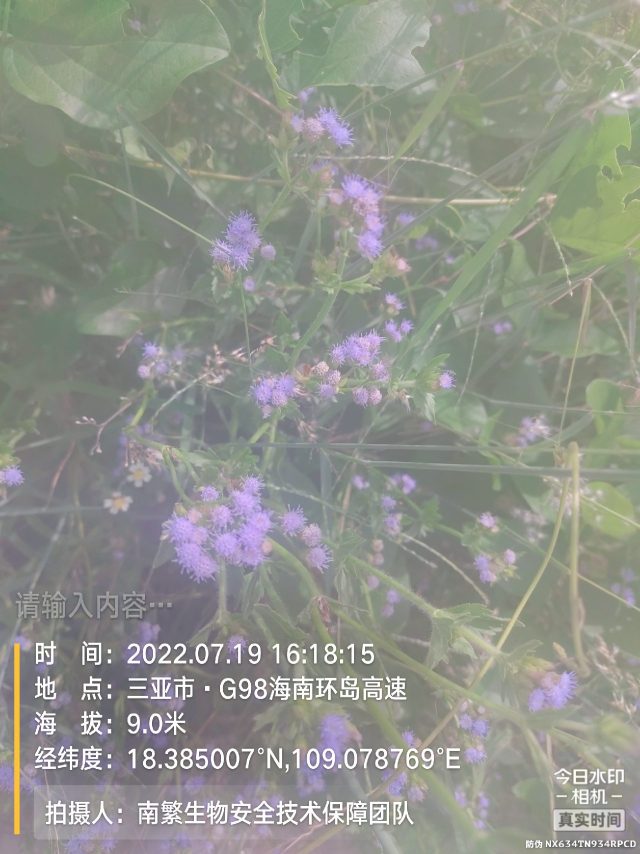 请输入内容…
