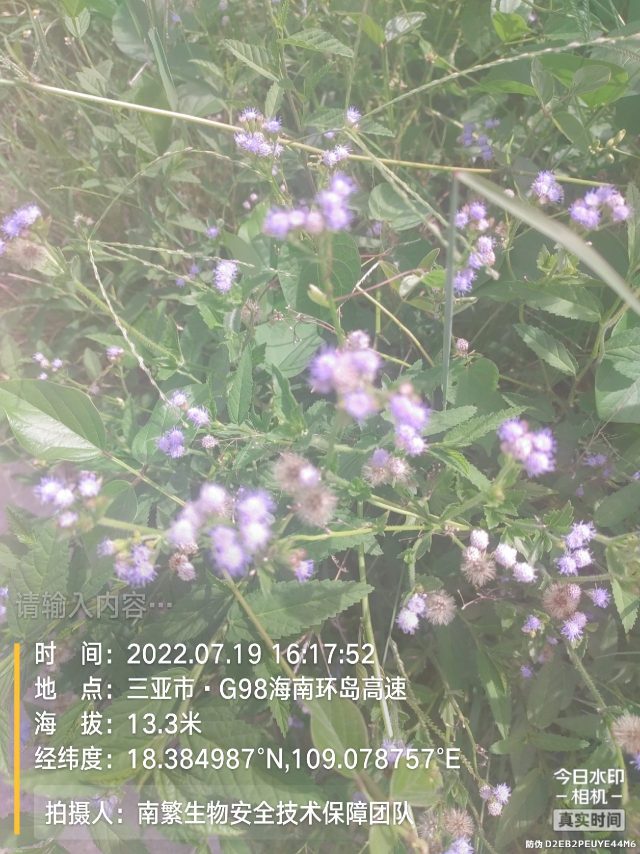 请输入内容…