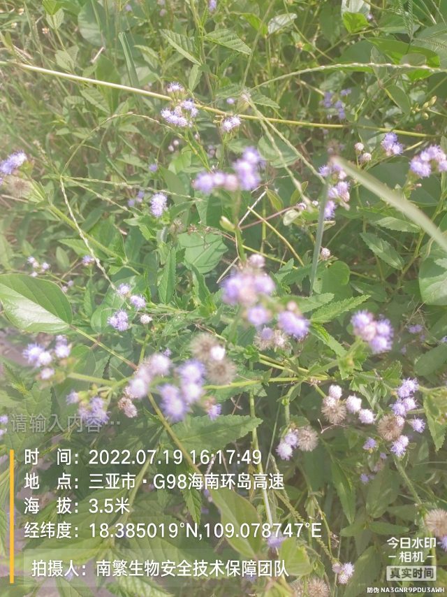 请输入内容…