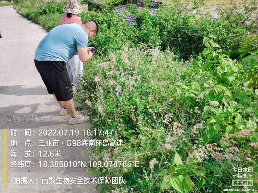 请输入内容…