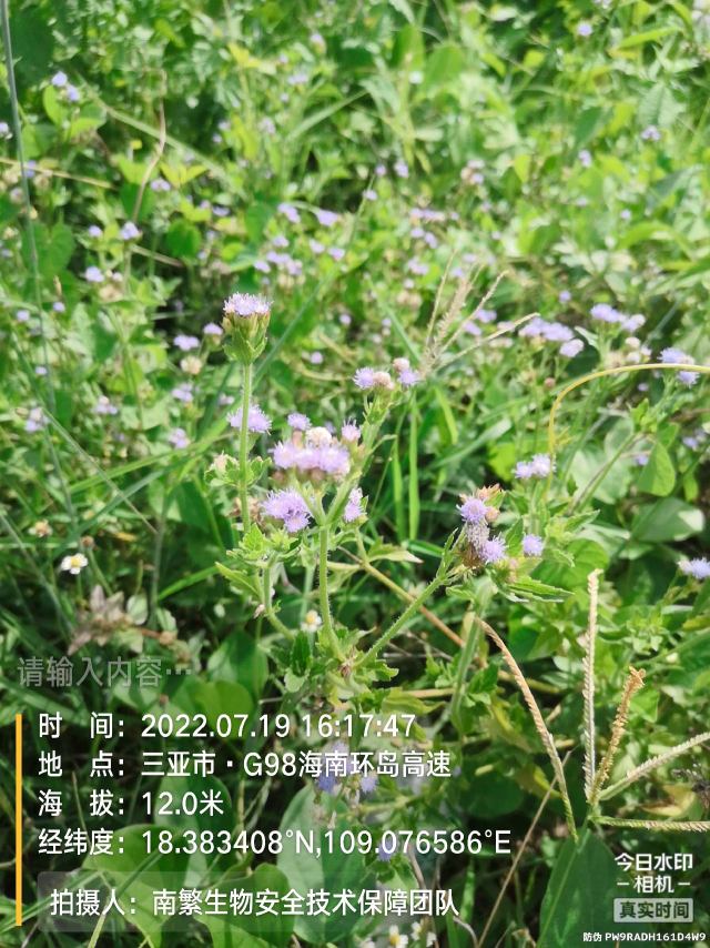 请输入内容…