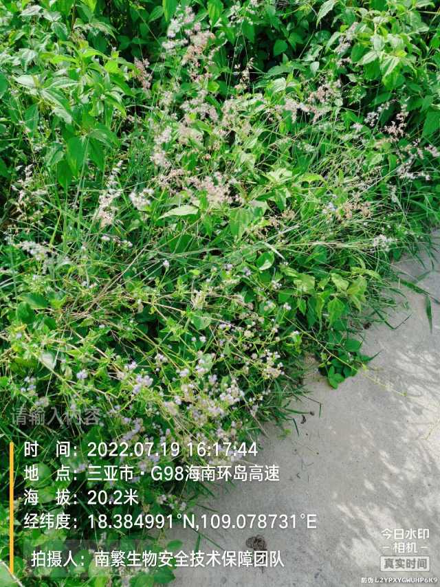 请输入内容…