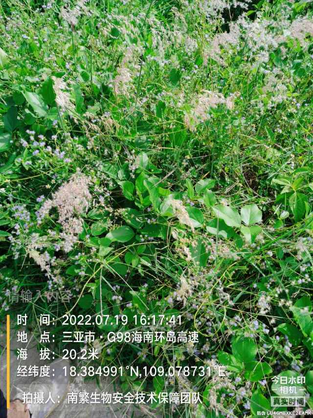 请输入内容…