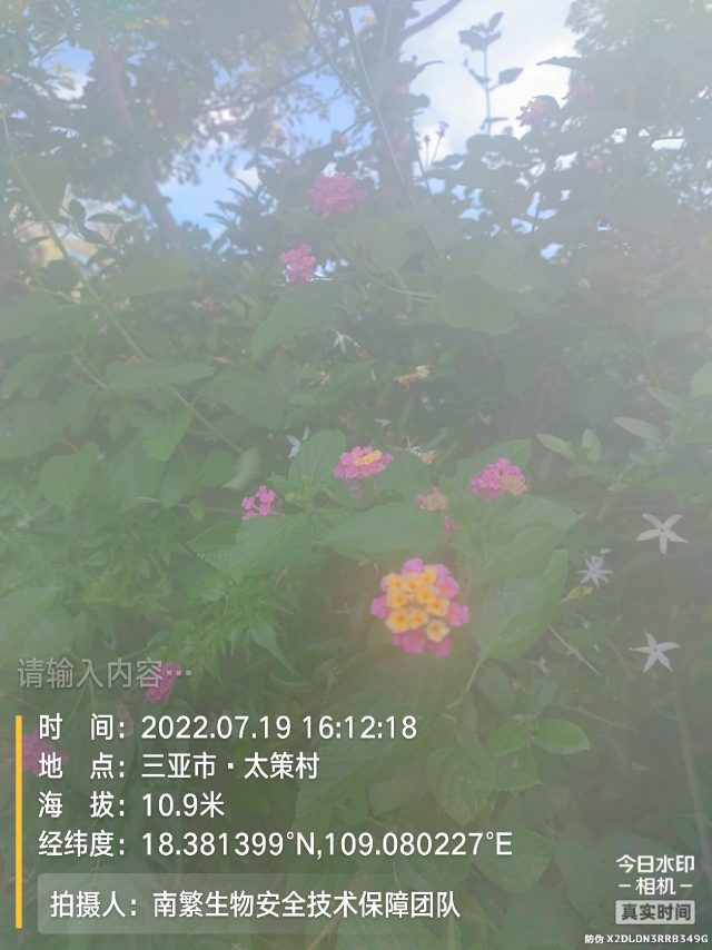 请输入内容…