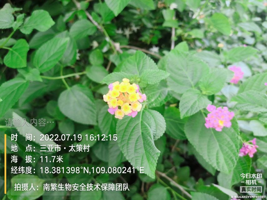 请输入内容…