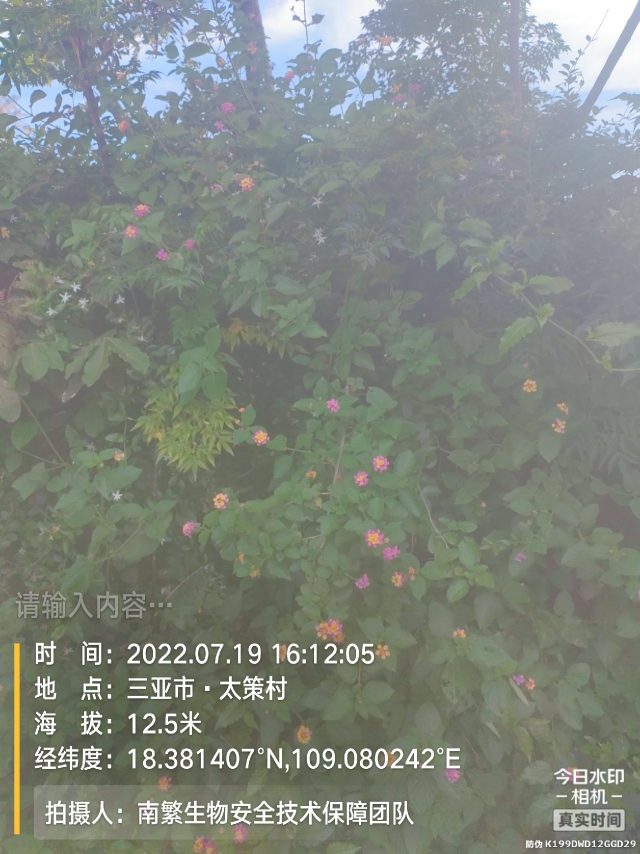 请输入内容…