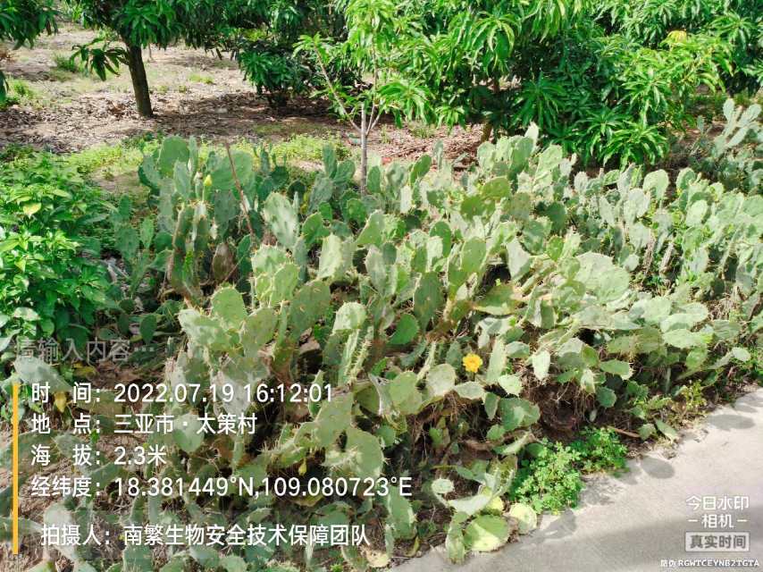 请输入内容…