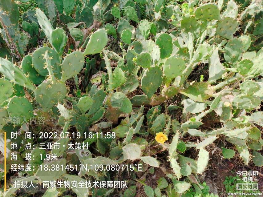 请输入内容…