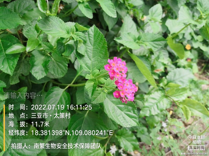 请输入内容…
