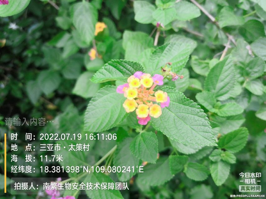 请输入内容…