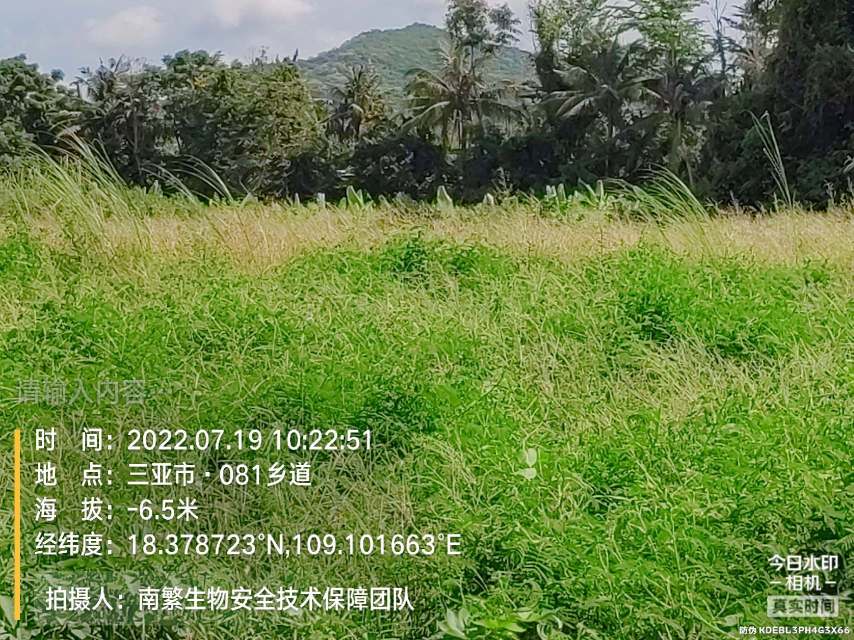 请输入内容…