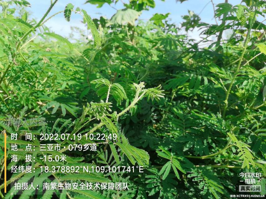 请输入内容…