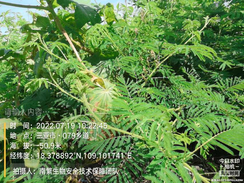请输入内容…