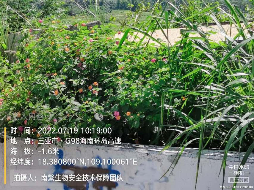 请输入内容…