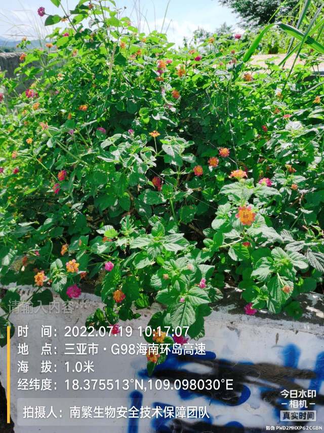 请输入内容…
