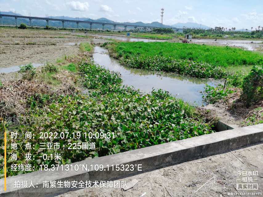 请输入内容…