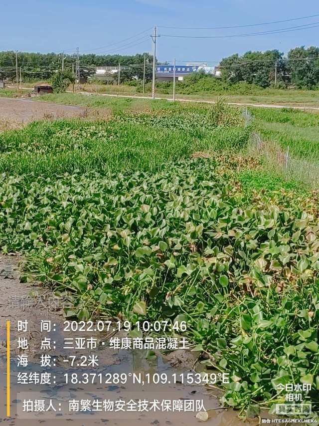 请输入内容…