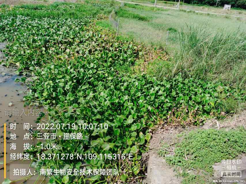 请输入内容…
