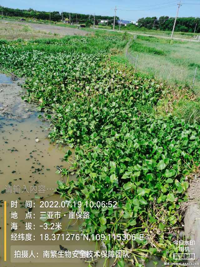 请输入内容…