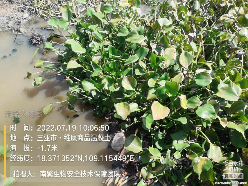 请输入内容…