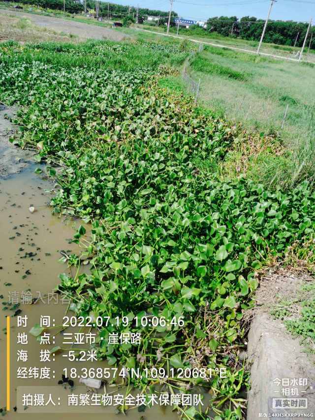 请输入内容…