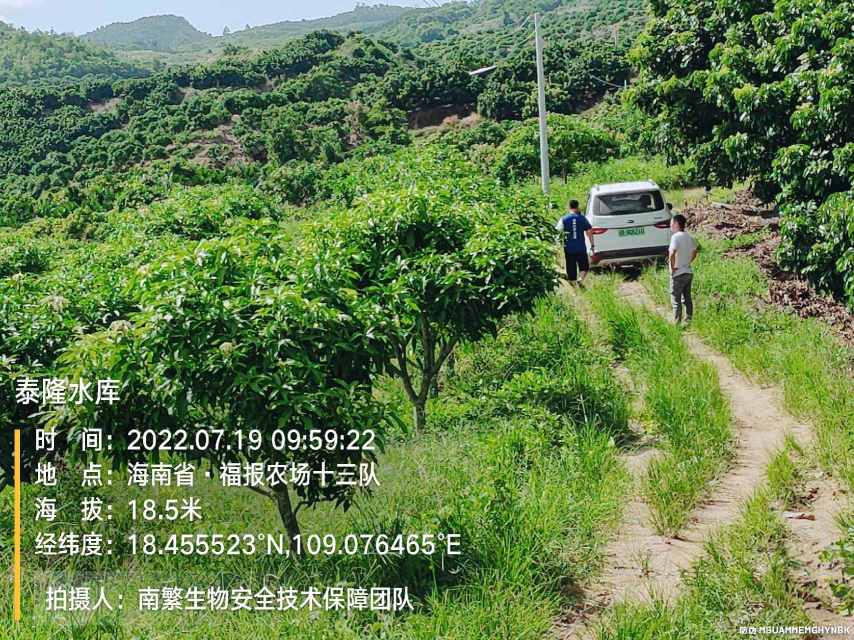 泰隆水库