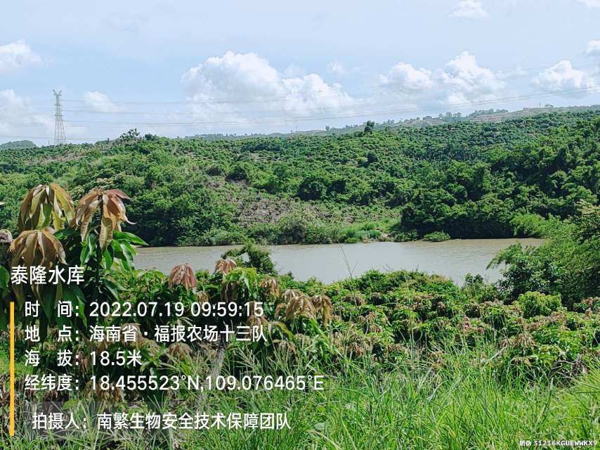 泰隆水库