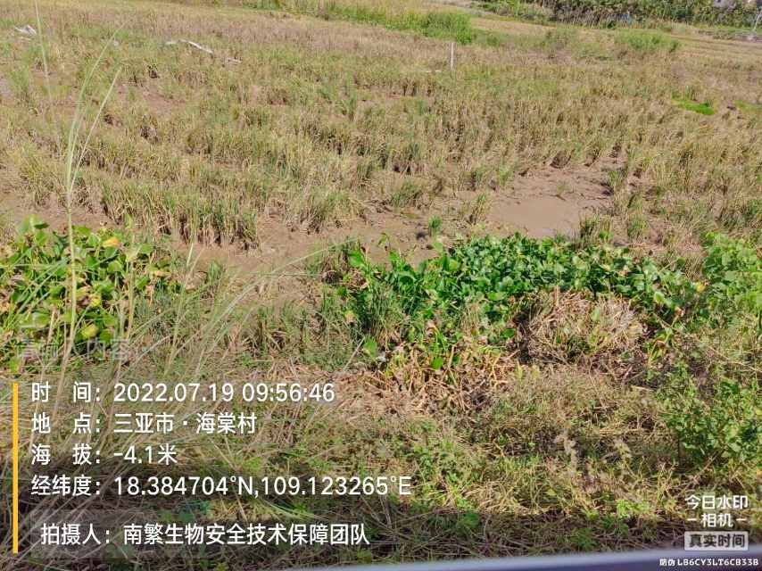 请输入内容…