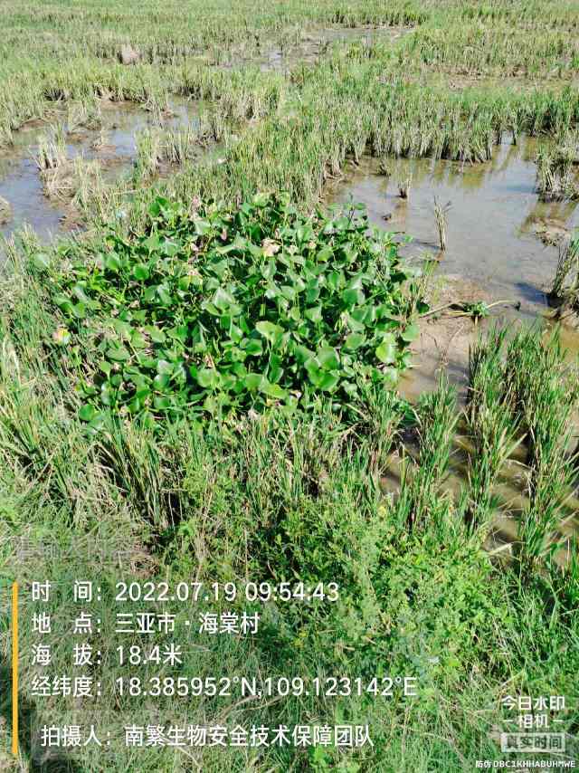 请输入内容…