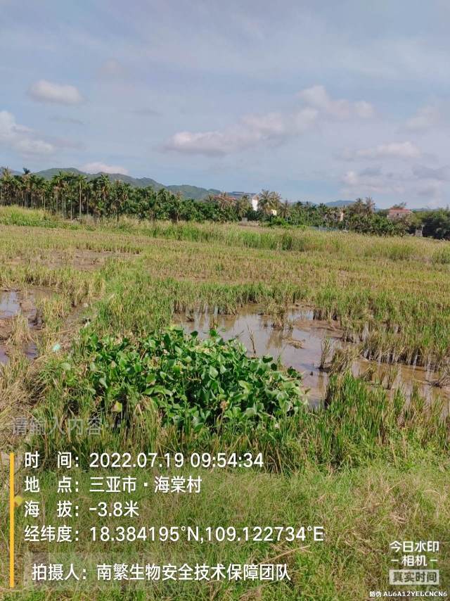 请输入内容…
