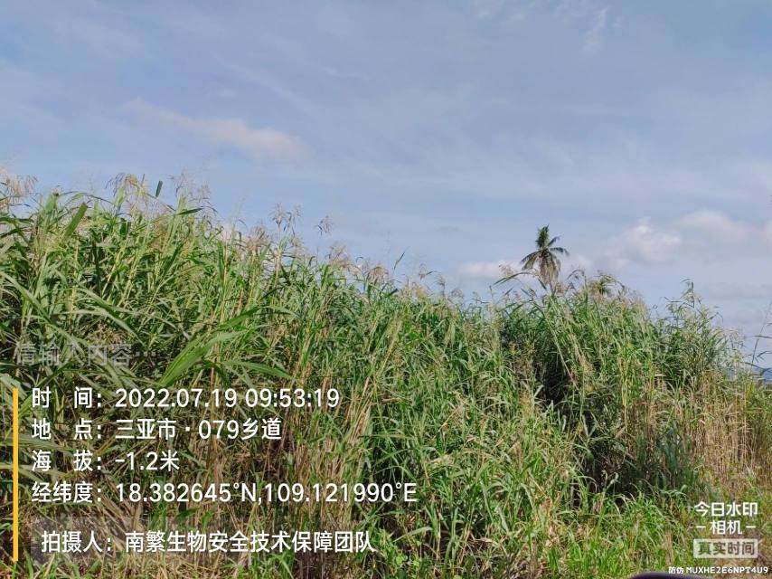 请输入内容…