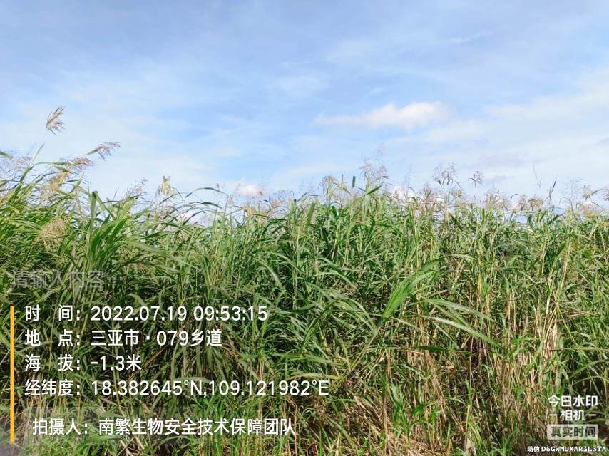 请输入内容…